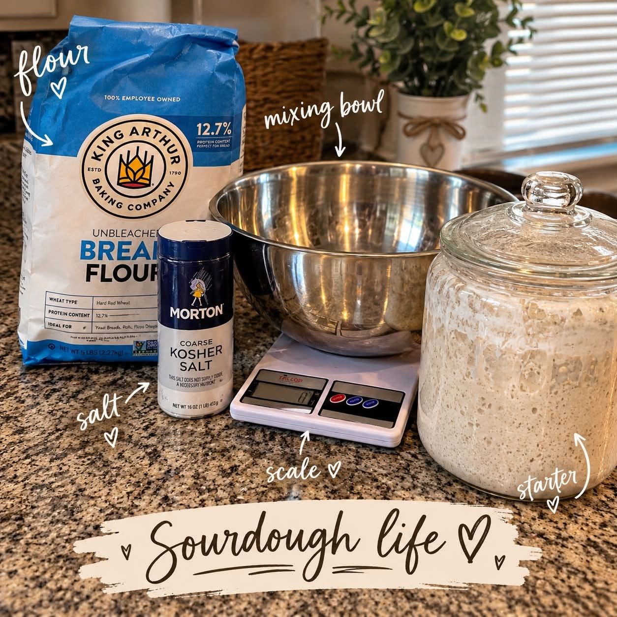 Flour, salt, a kitchen scale and a jar of sourdough starter on the counter